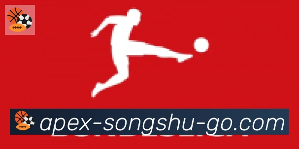 松鼠直播合作伙伴